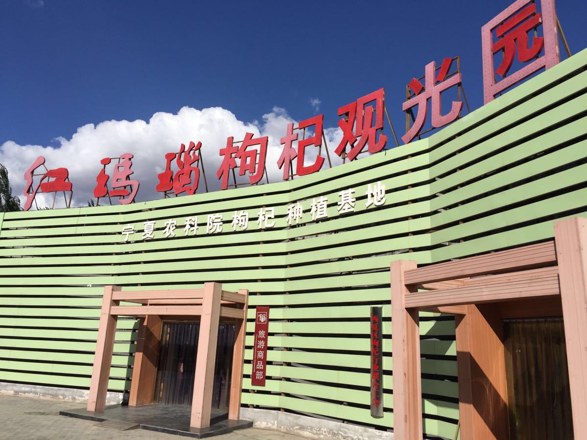红玛瑙枸杞观光园