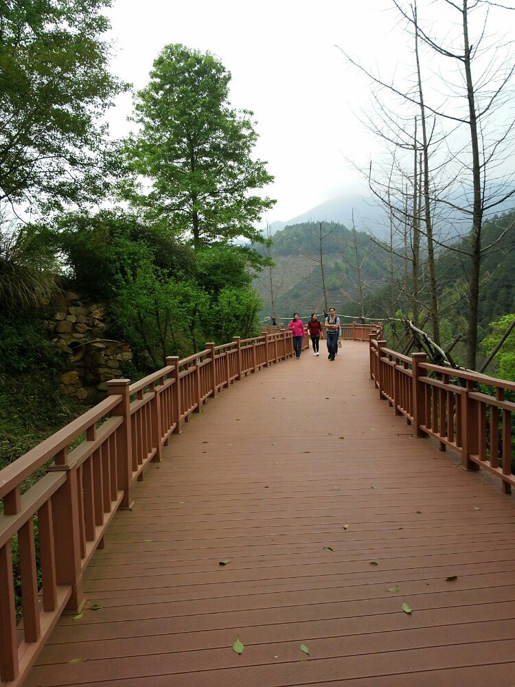 2019丫山风景区_旅游攻略_门票_地址_游记点评,大余