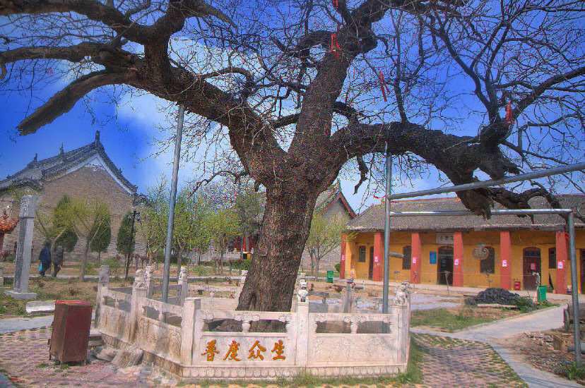 【携程攻略】河南民权白云禅寺景点,白云禅寺位于民权