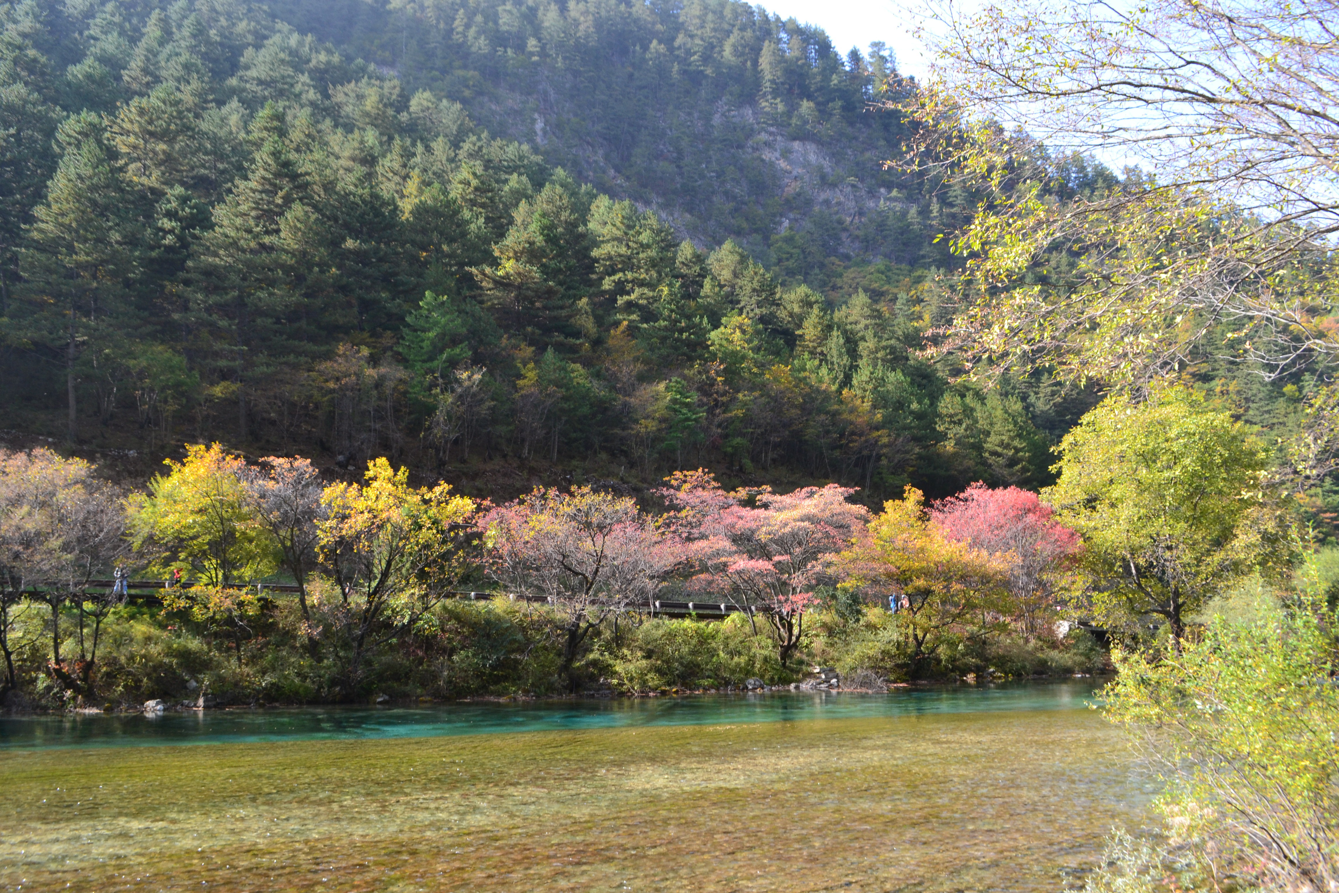 青龙海