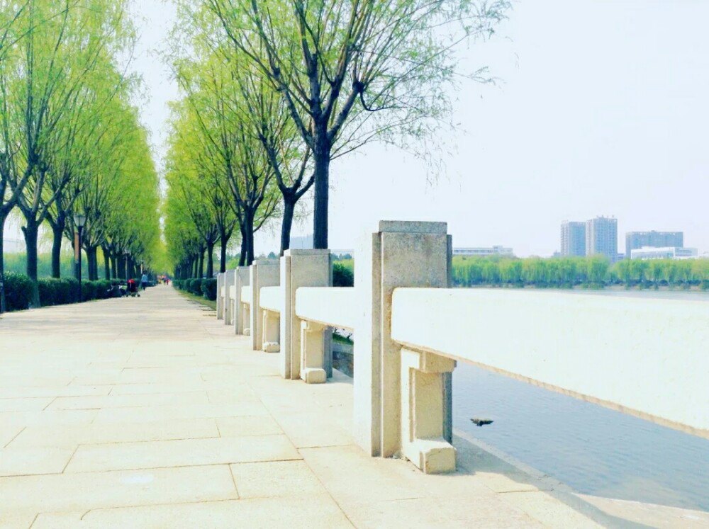 汤湖公园旅游景点攻略图