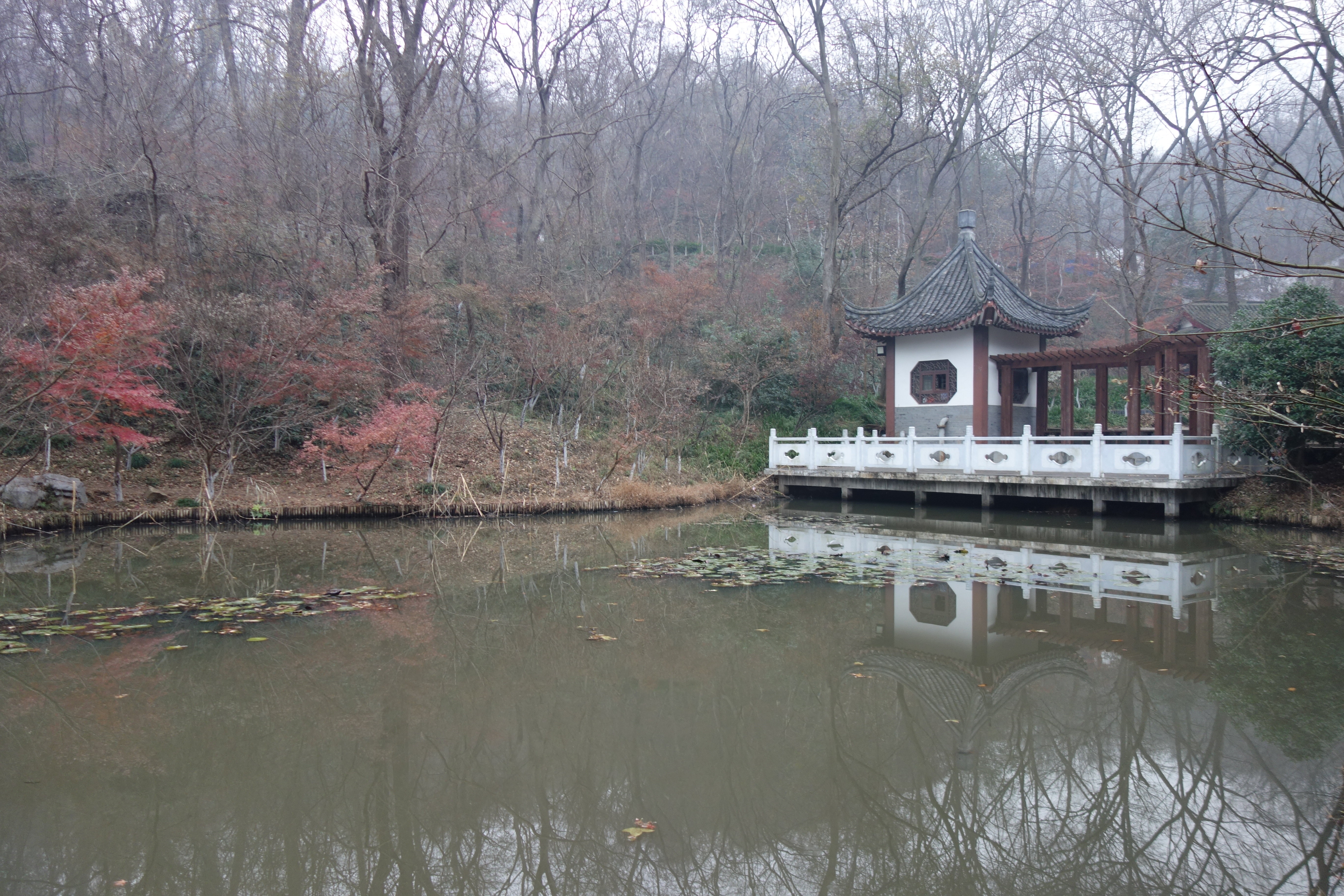 南京桃花湖好玩吗,南京桃花湖景点怎么样_点评_评价