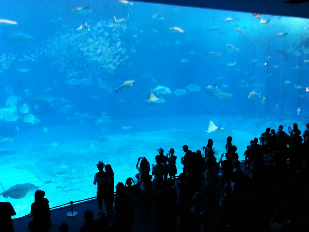 冲绳海洋博公园号称世界四大水缸,规模,深度都比香港海洋公园图片