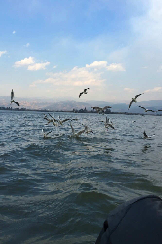 西昌邛海国家湿地公园好玩吗,西昌邛海国家湿地公园样