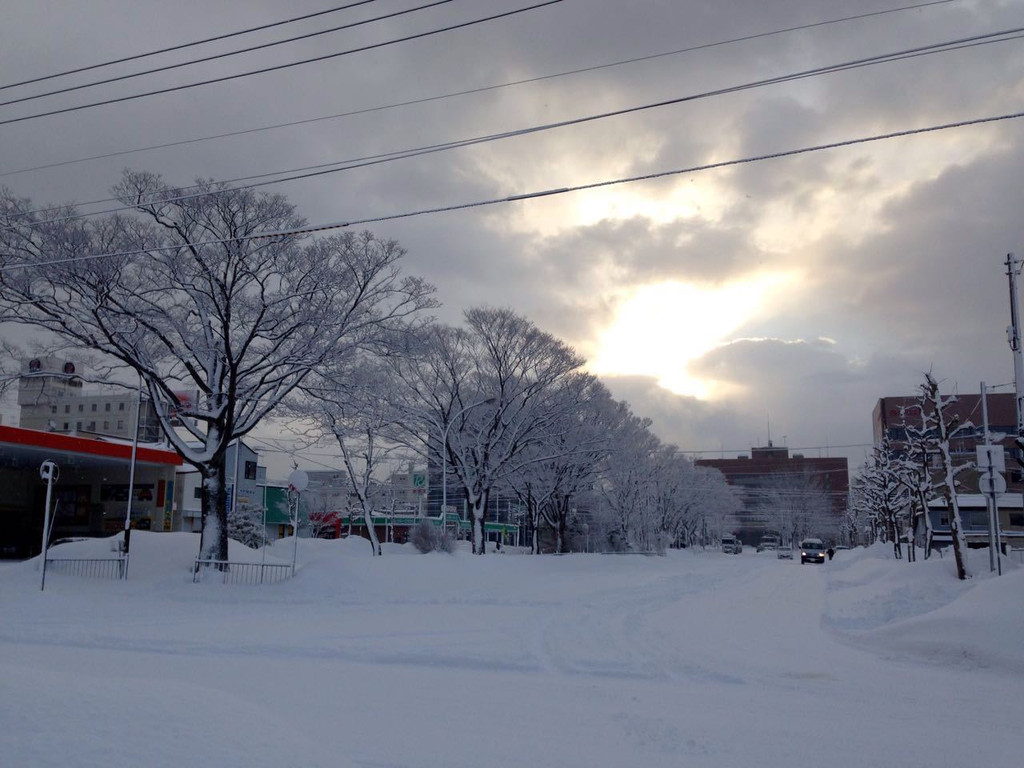 漫步北海道的白雪皑皑,暴走东京的绚烂霓虹