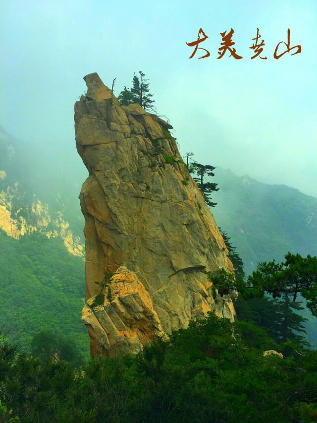 Ңɽ羰