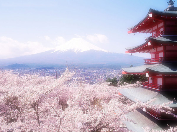 日本东京 箱根 京都 大阪6日5晚跟团游(3钻·世界遗产 花鸟乐园 日式