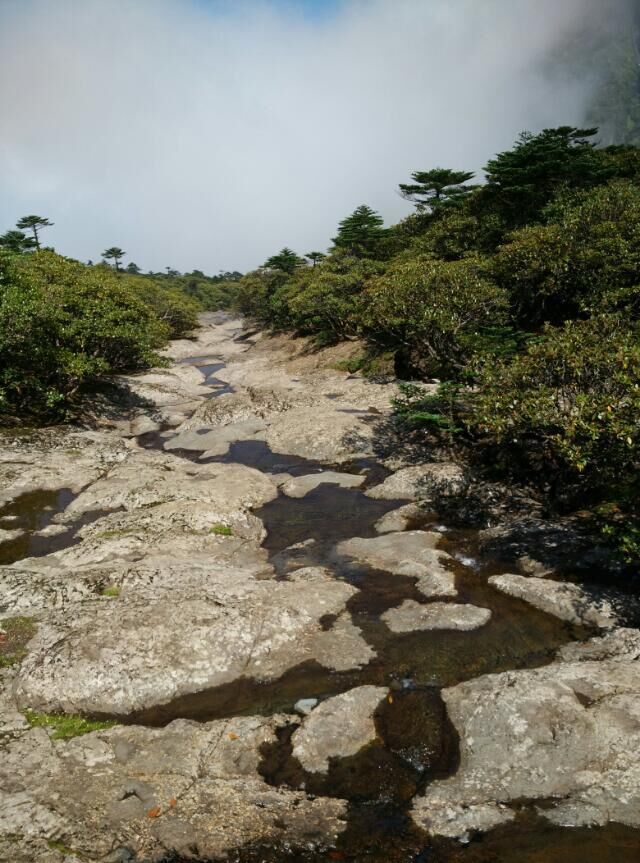 滇中第一山—轿子雪山