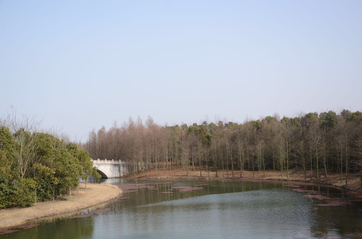 海湾国家森林公园