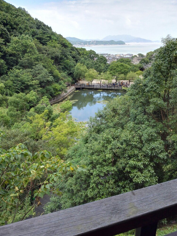 桃花岛桃花岛风景区好玩吗,桃花岛桃花岛风景区景点样