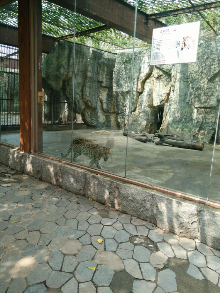 【携程攻略】南昌南昌动物园景点,南昌动物园野生动物