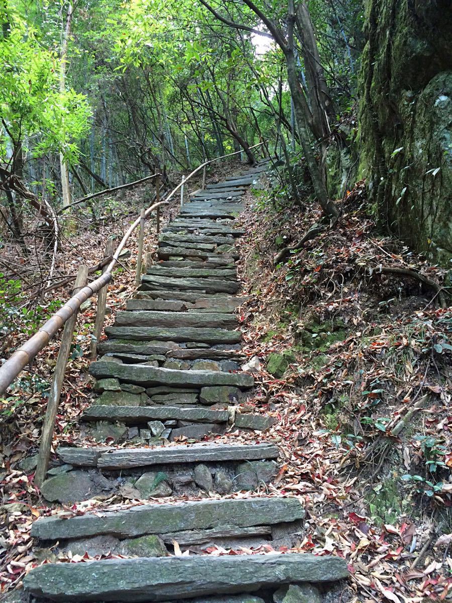 2019仙寓山_旅游攻略_门票_地址_游记点评,东至旅游