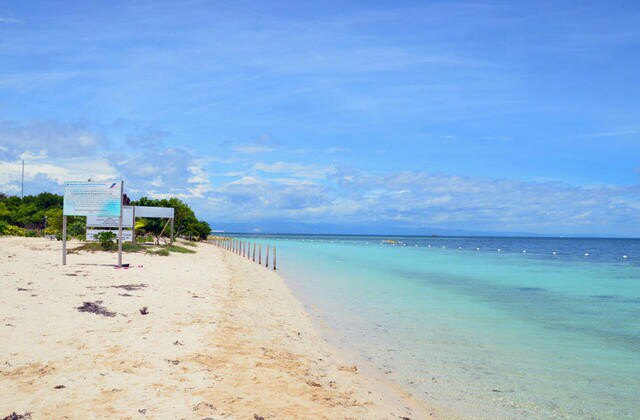 巴里卡萨岛balicasag island