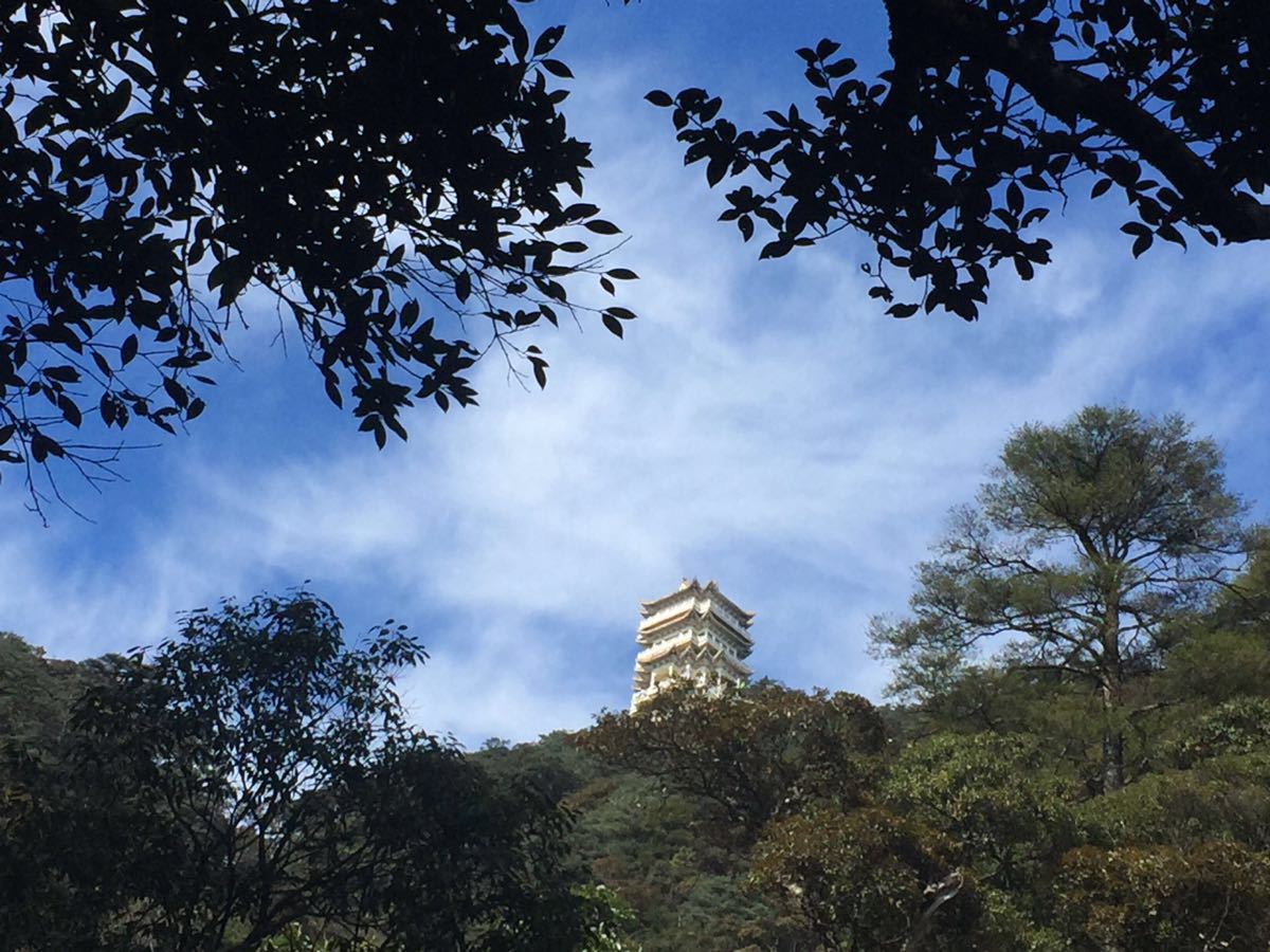 南岭国家森林公园