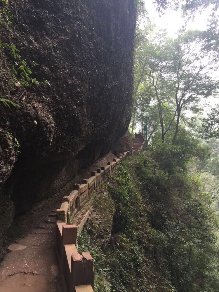 文化不苦旅之成都,乐山,峨眉山,都江堰,青城山7日游