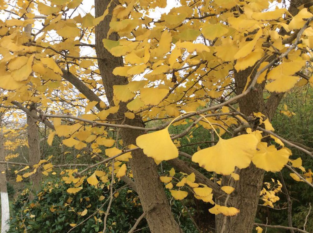 东台旅游景点简介,旅游景点大全,图片,旅游信息