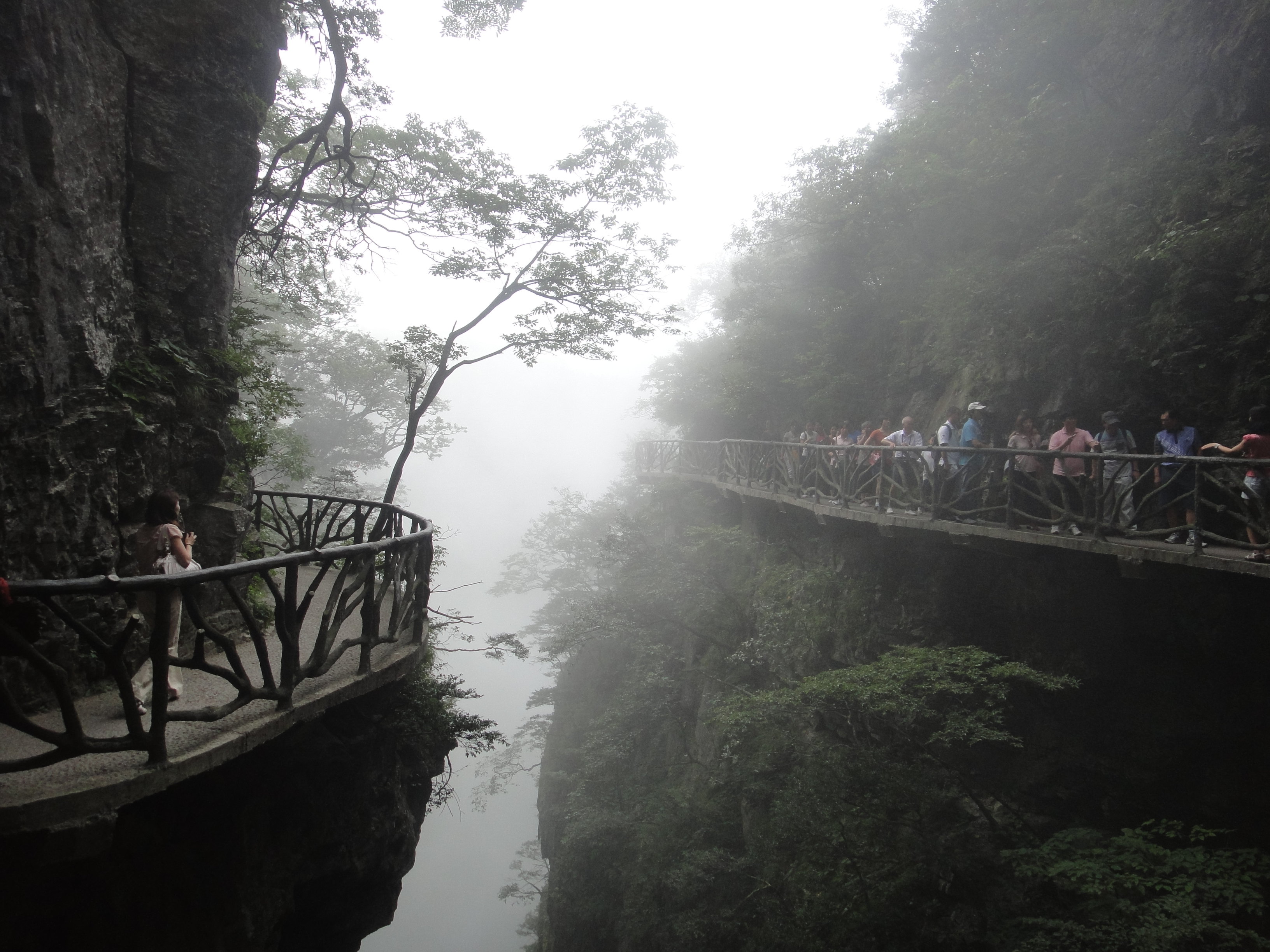 2019鬼谷峡洞_旅游攻略_门票_地址_游记点评,张家界