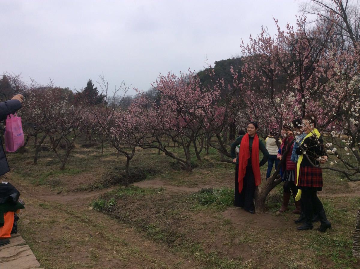 梅花山旅游景点攻略图