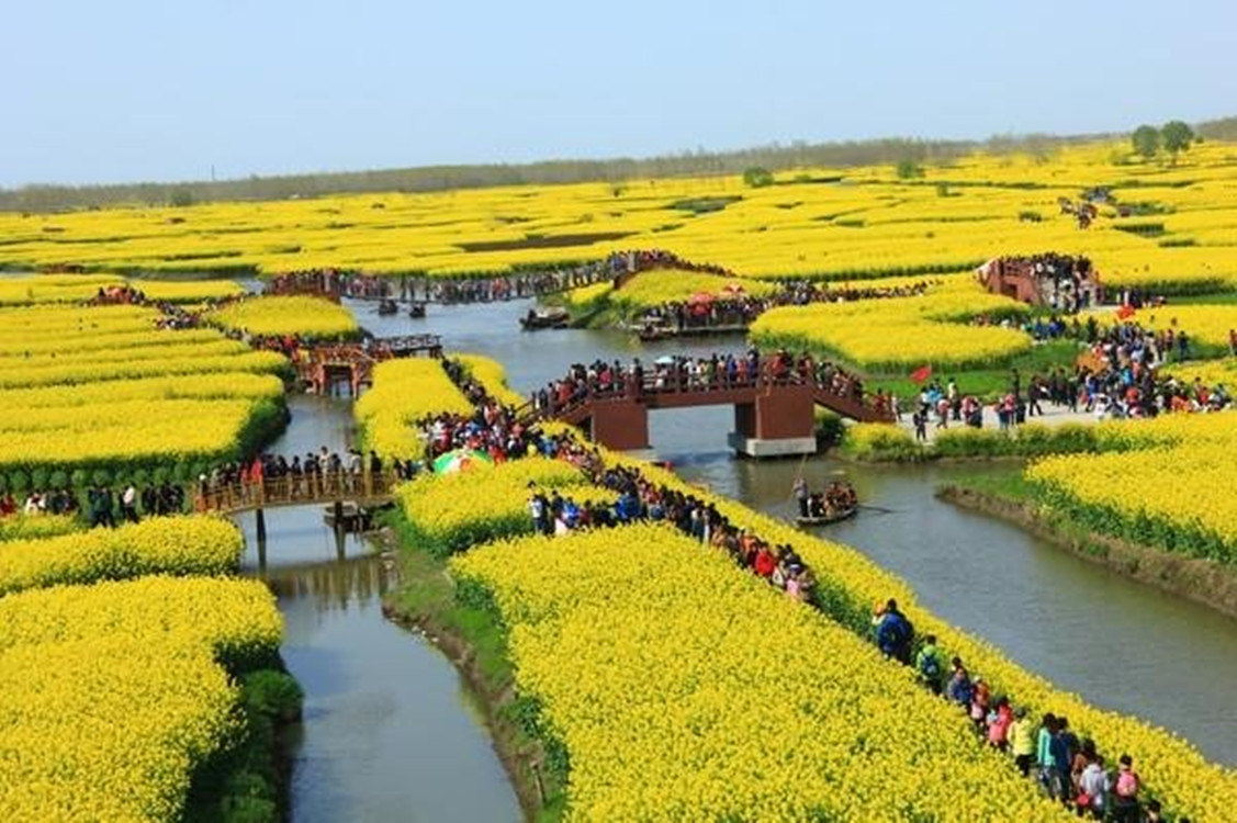扬州好玩吗,以及千岛油菜花好看吗几月份去好