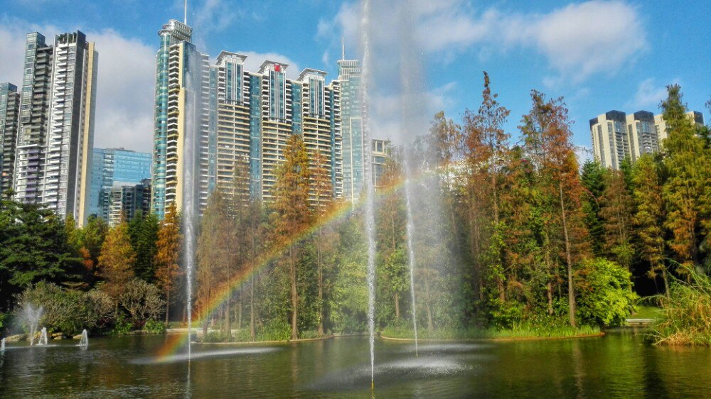 硅谷gdp_2019全美公司最高薪酬排行榜出炉 谷歌仅排第五,第一竟是TA(3)