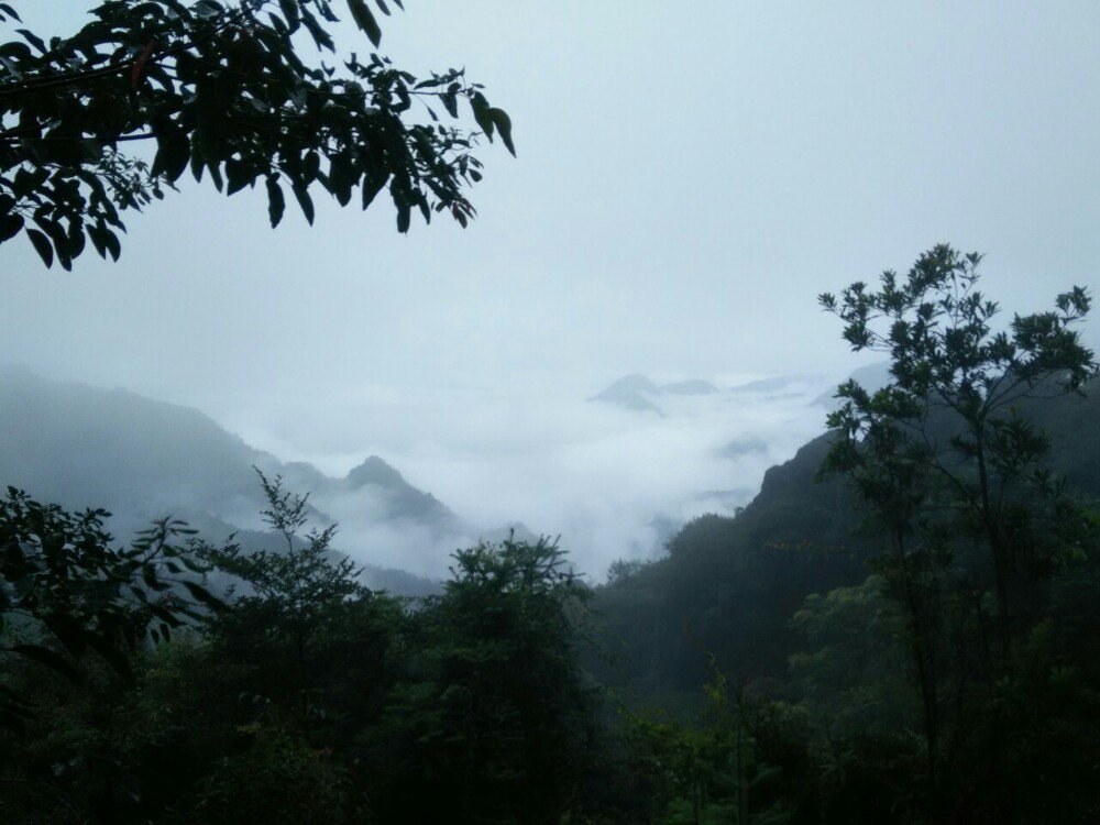 南平茫荡山好玩吗,南平茫荡山景点怎么样_点评_评价