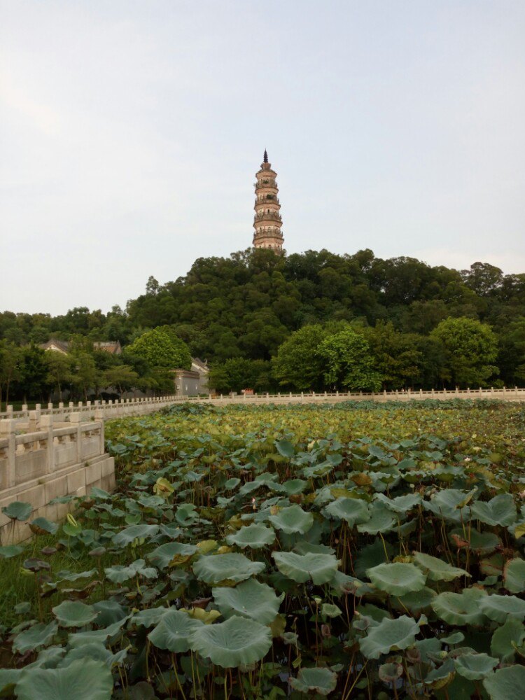 顺峰山公园