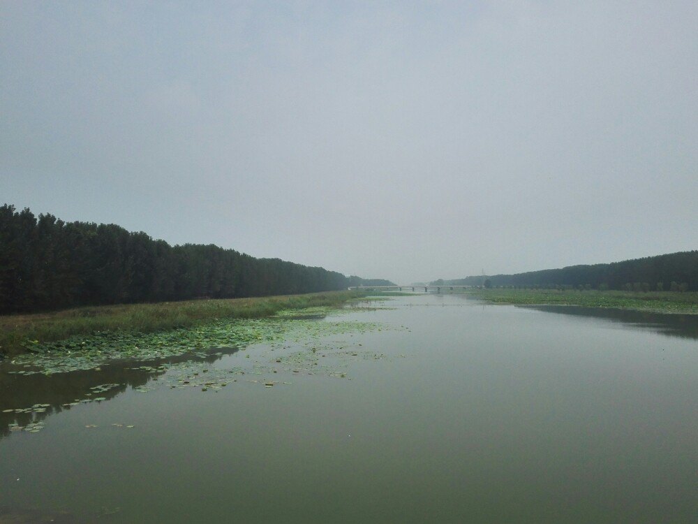 微山湖国家湿地景区