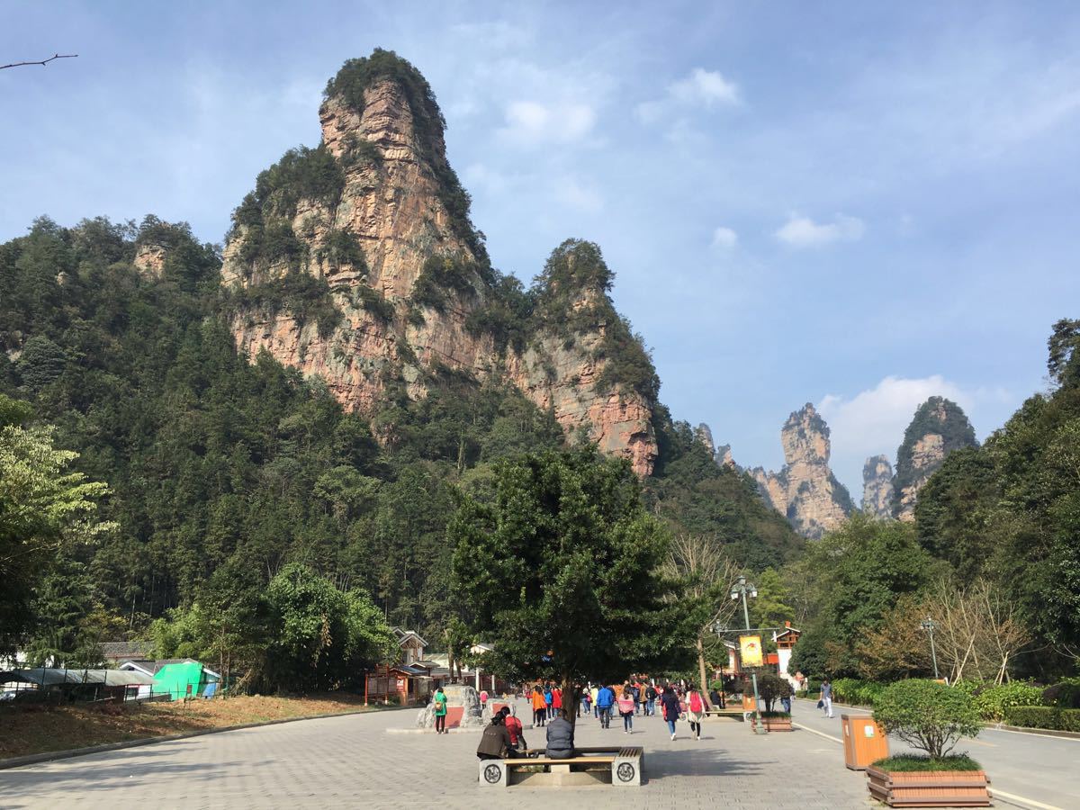 张家界国家森林公园扎实开展教育实践活动获肯