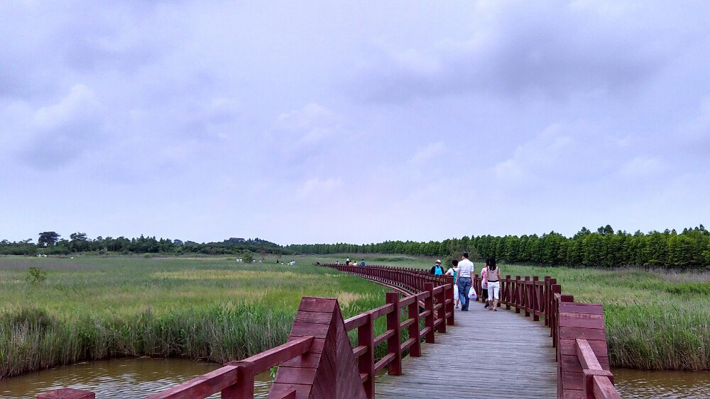 【携程攻略】崇明区东滩湿地公园景点,空气非常清新.