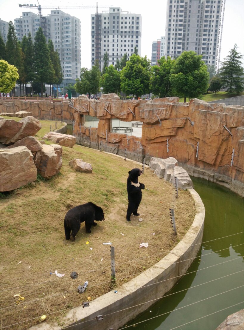 淮安动物园