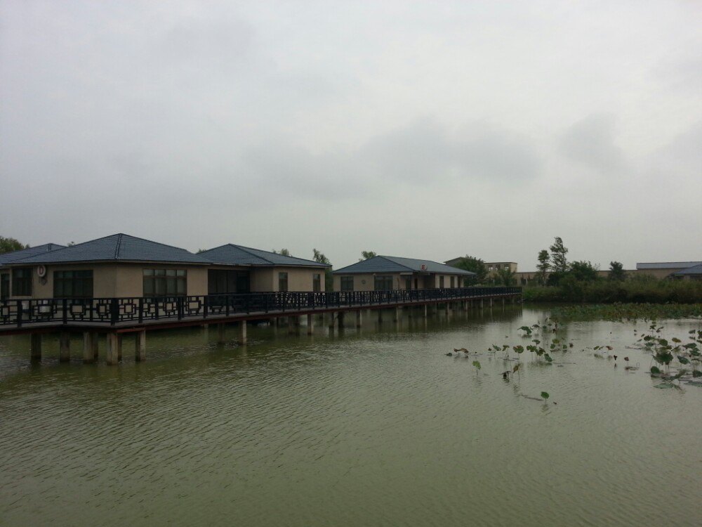 泗洪洪泽湖湿地旅游景点攻略图