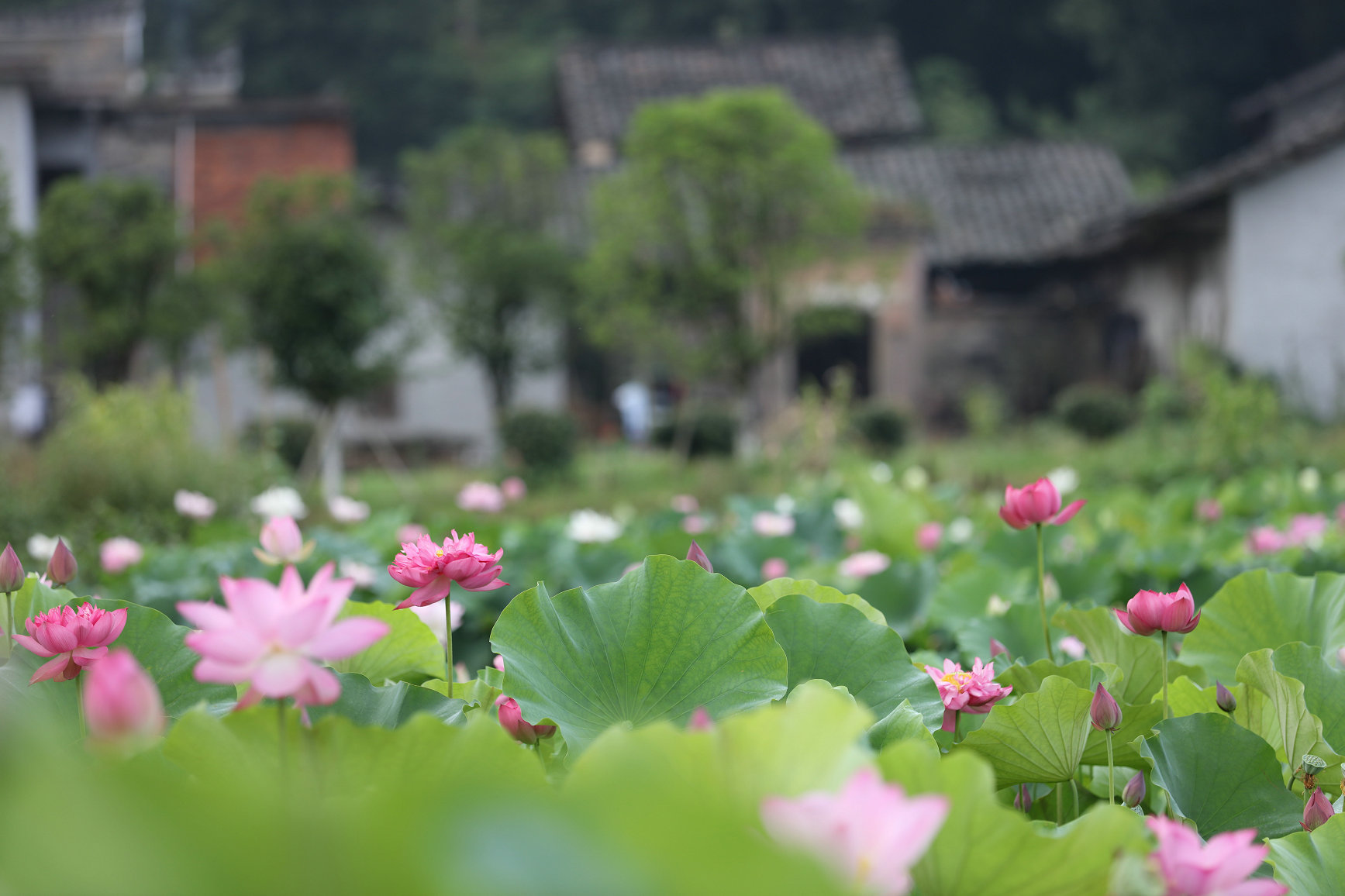 石城通天寨