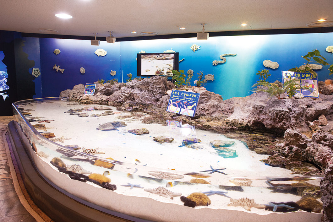 冲绳美丽海水族馆