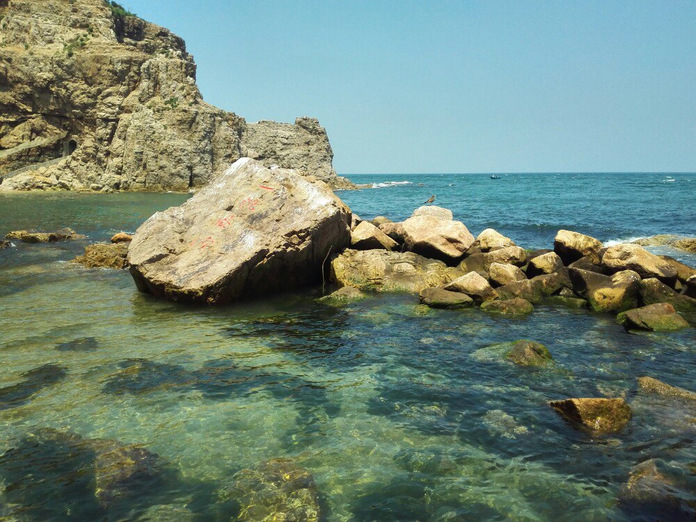 【携程攻略】山东威海荣成海驴岛好玩吗,山东海驴岛景点怎麼样_点评