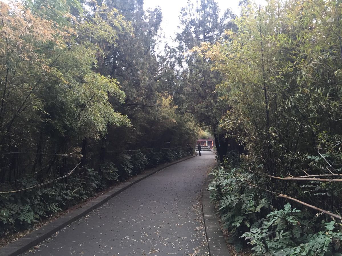 骆驼山竹林寺