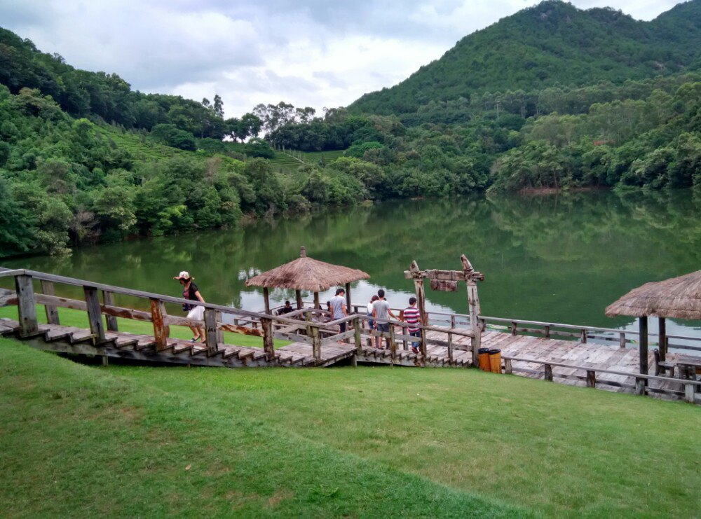 雁南飞茶田景区