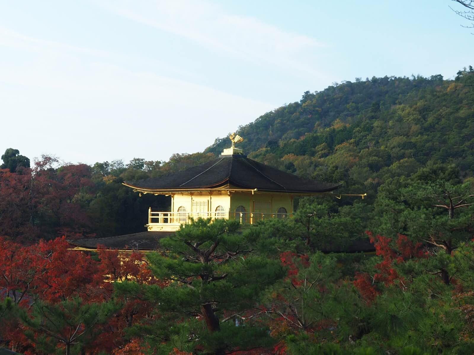 【携程攻略】京都金阁寺景点,金阁寺又叫鹿苑寺,其名称源自于日本战国