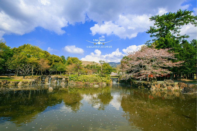 世界那么大之日本 樱花の旅东京,横滨,京都,奈良,大阪