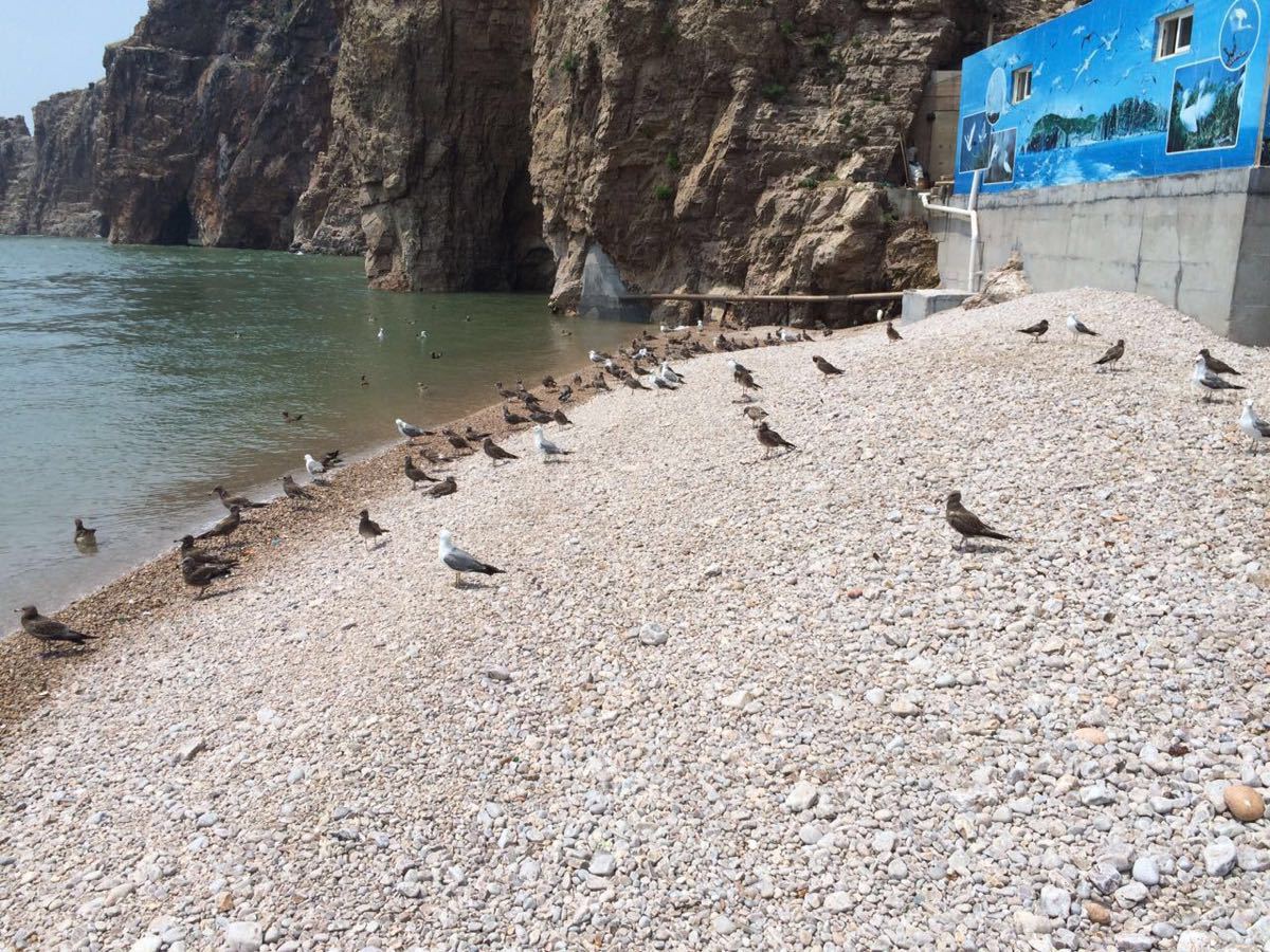 海驴岛