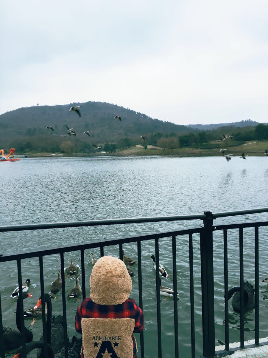 汤山紫清湖旅游区