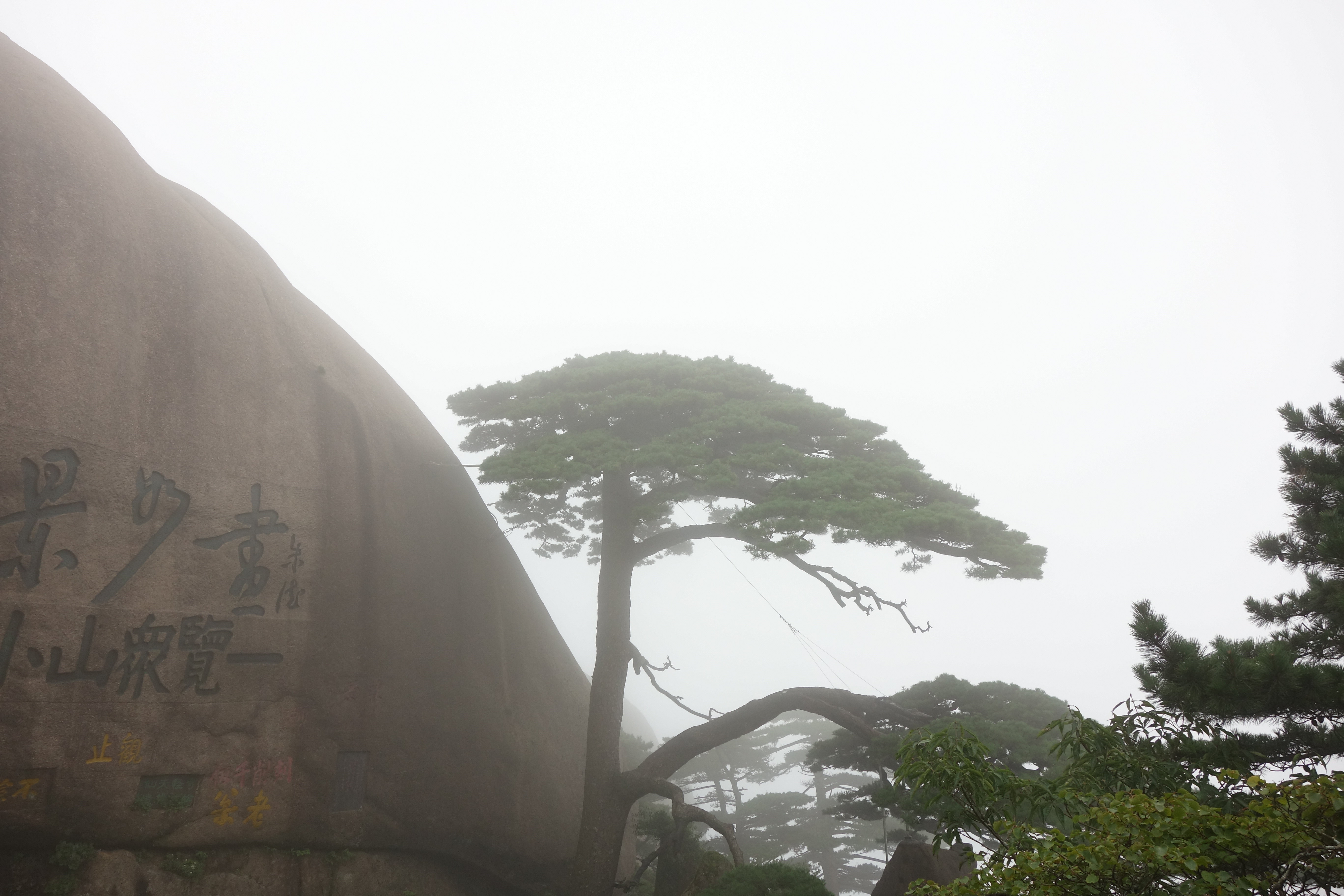 【携程攻略】黄山风景区迎客松适合家庭亲子旅游吗,松