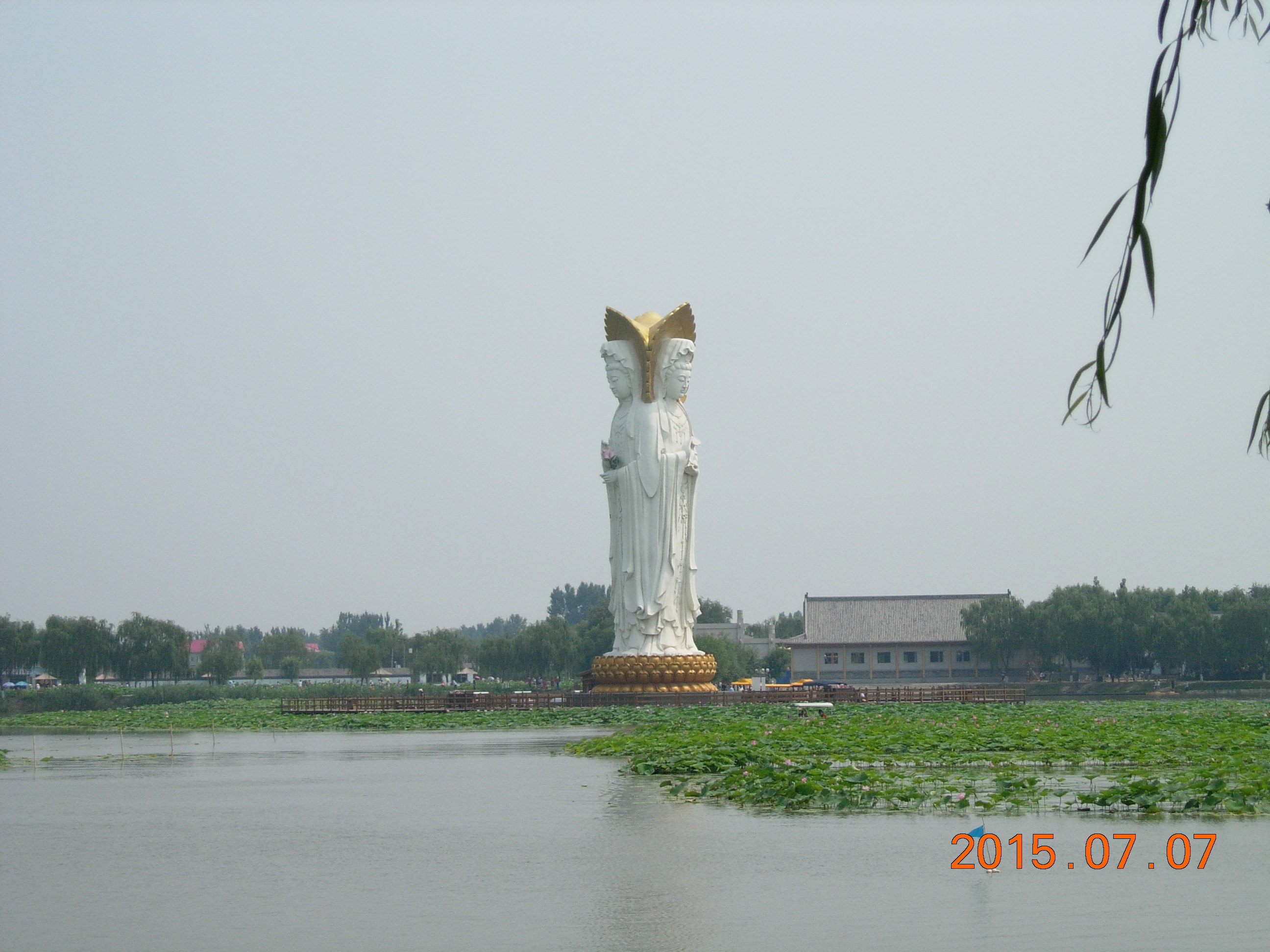 2019荷花大观园_旅游攻略_门票_地址_游记点评,白洋淀旅游景点推荐