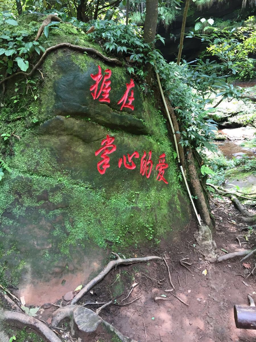 天台山旅游景点攻略图