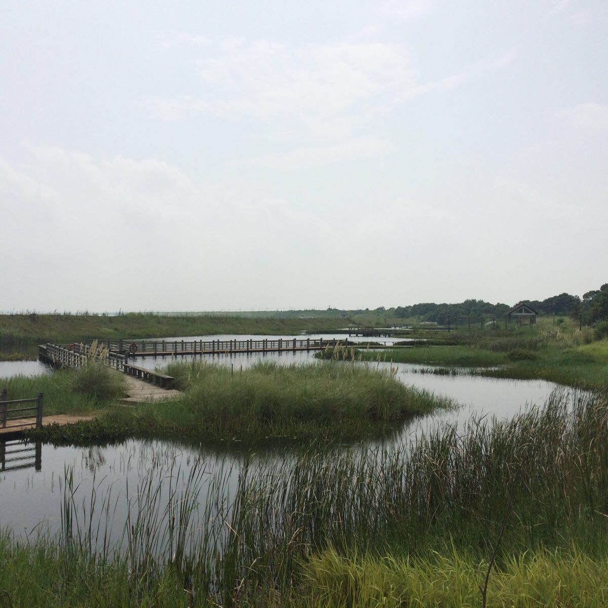 鄱阳鄱阳湖国家湿地公园好玩吗,鄱阳鄱阳湖国家湿地样