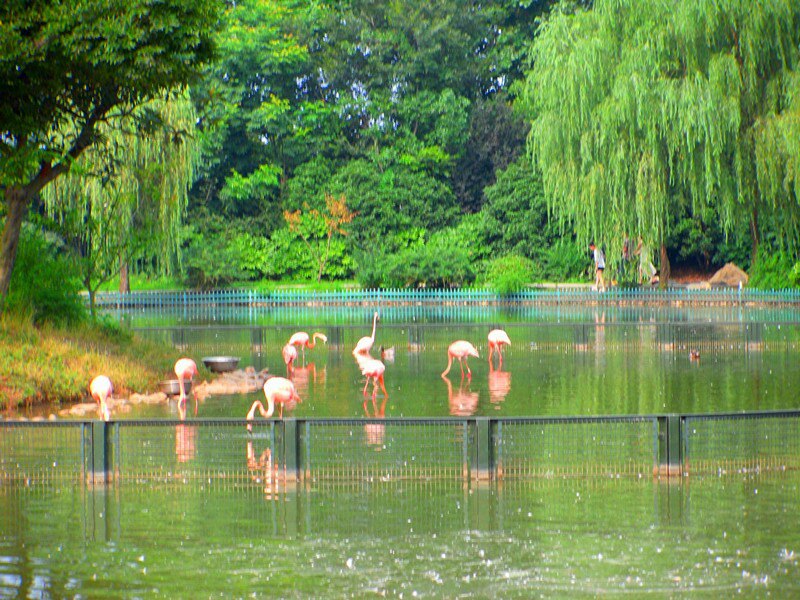 茱萸湾风景区