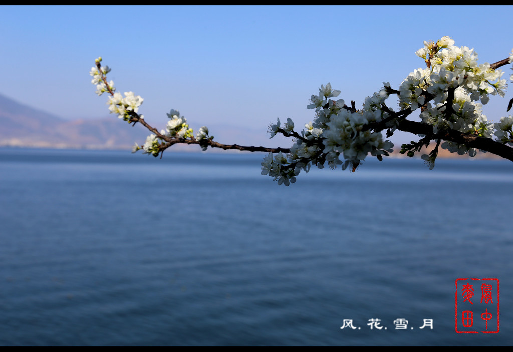 春节在路上#《赴一场风花雪月的约会,来一次有名份的浪漫!》