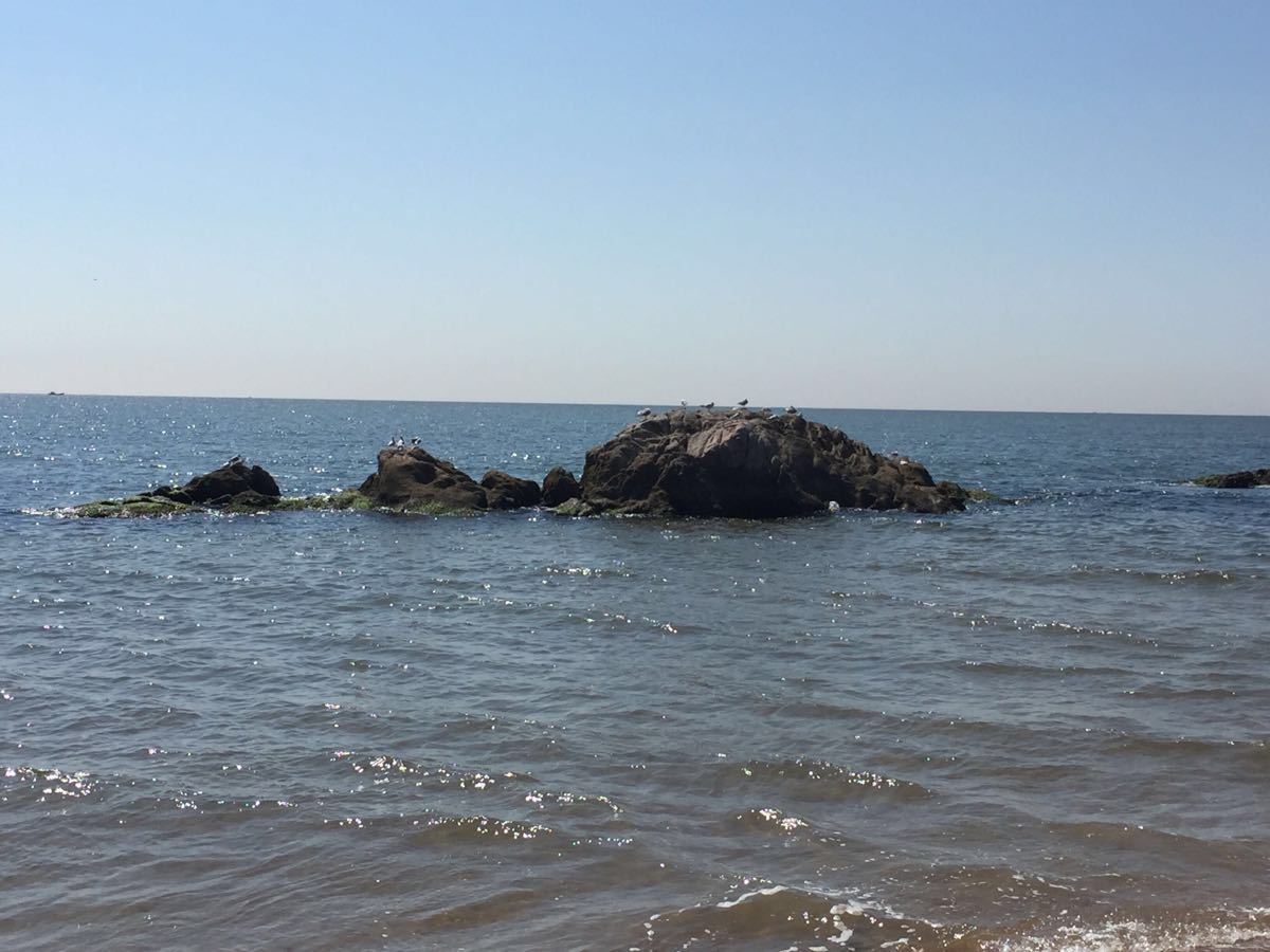 开会住的河北省北戴河疗养院,房后一百米就是海滩,沙很细,海很安静,就