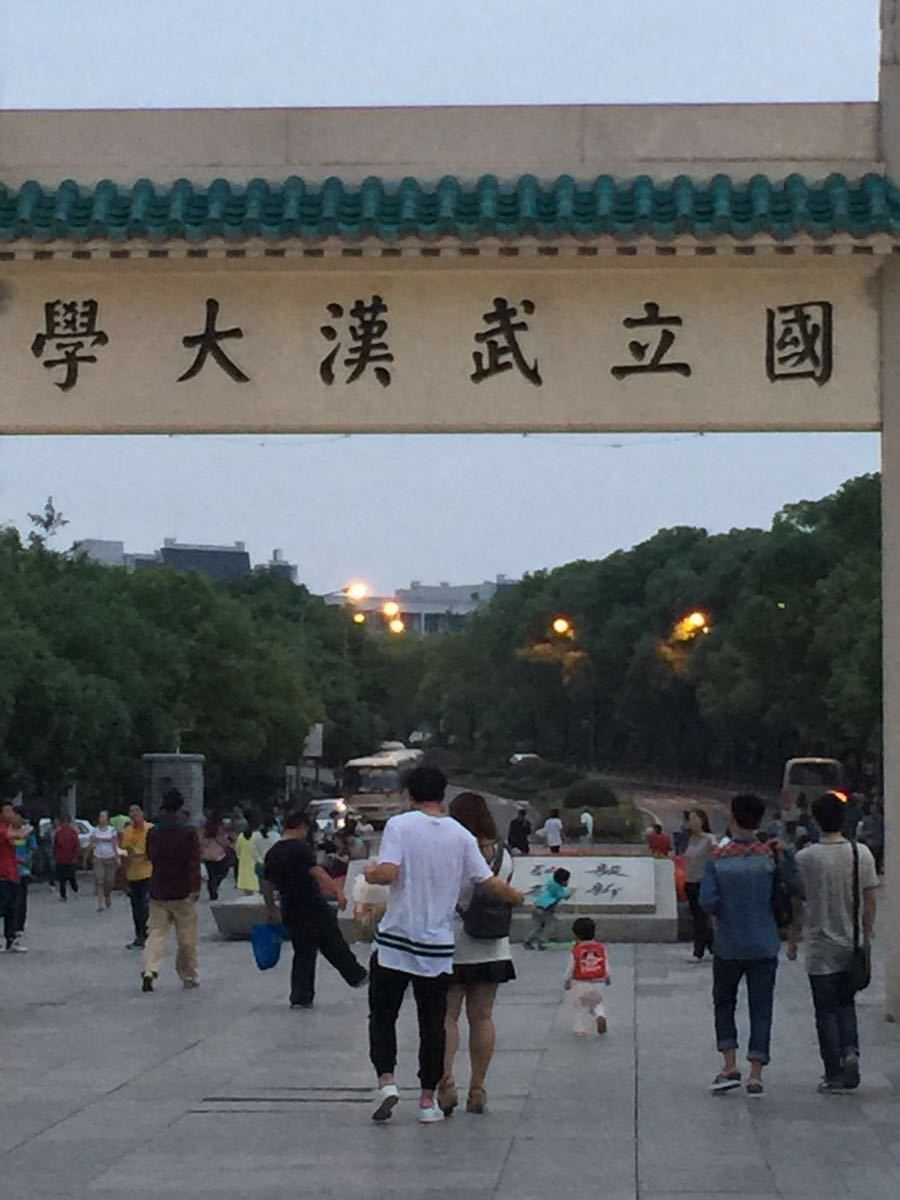 武汉大学宅怨攻略电视2零图片