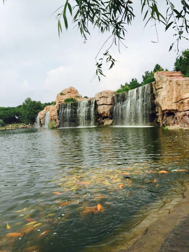 太阳岛风景区