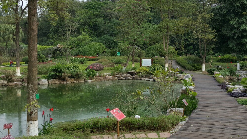 广西药用植物园